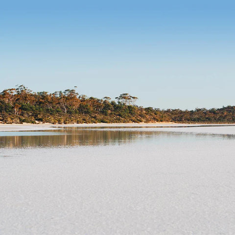 Ancient Lakes Revitalizing Serum